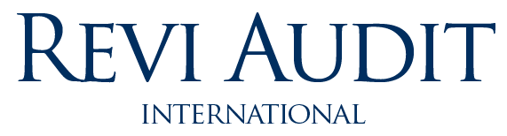 Revi Audit International